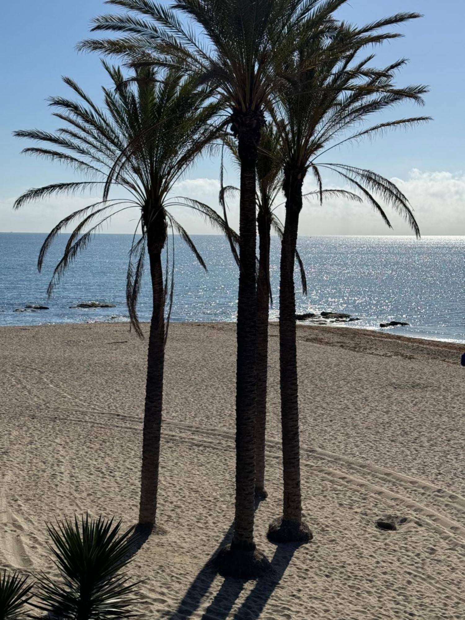 Brand New Studio Benalmádena Zewnętrze zdjęcie